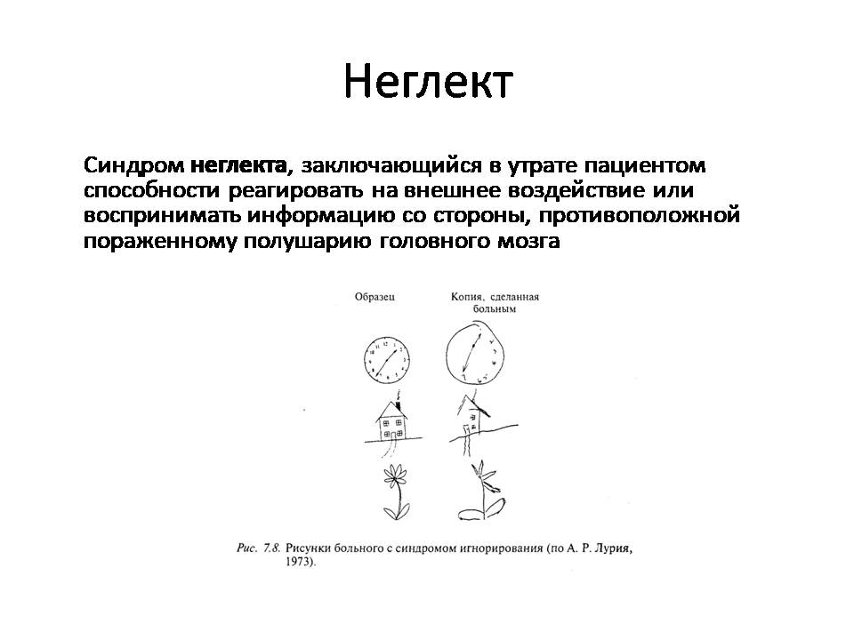 Наталья Панкина "Реабилитация после инсульта"